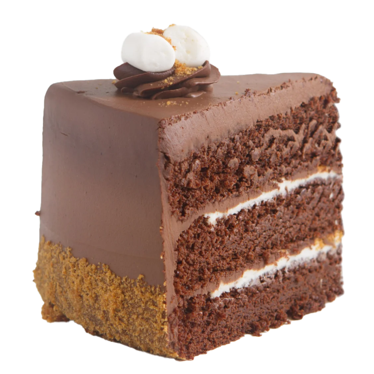 VC3 Chocolate S’mores Cake